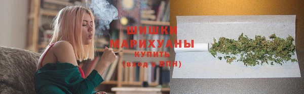 гашик Пестово