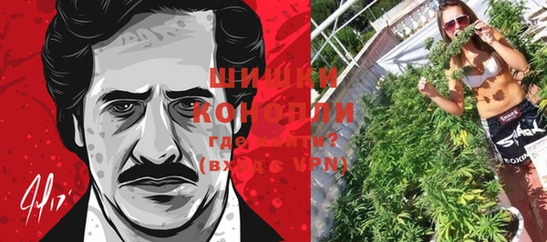 гашик Пестово