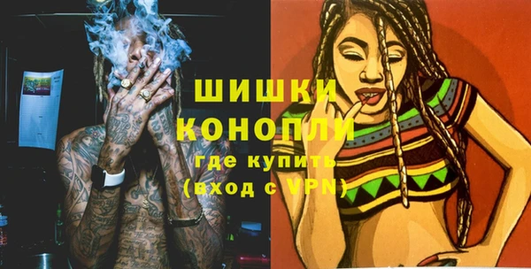 гашик Пестово