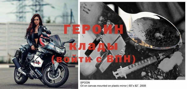 гашик Пестово