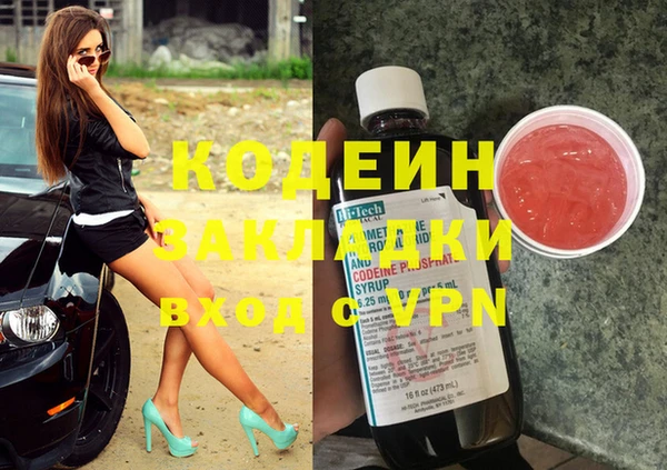 гашик Пестово