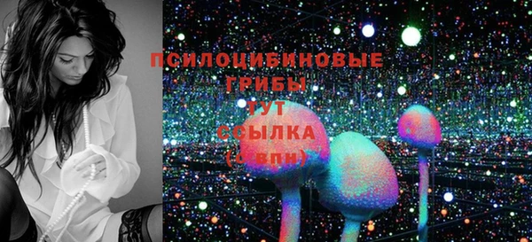 гашик Пестово