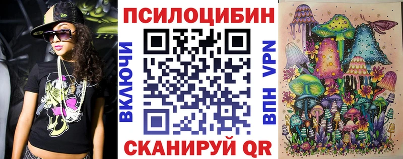 OMG зеркало  Покровск  Псилоцибиновые грибы Psilocybe 